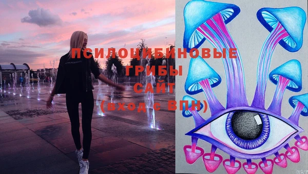 гидра Алзамай