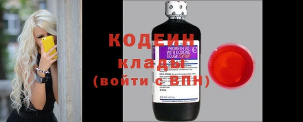 дурь Арсеньев
